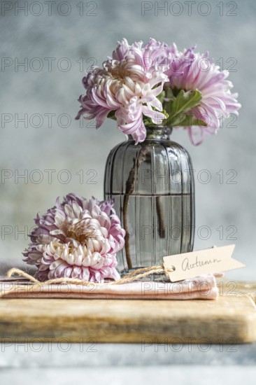 Elegant pink chrysanthemums in a ribbed glass vase on a wooden surface with a tag reading Autumn The scene captures the essence of fall's beauty and simplicity