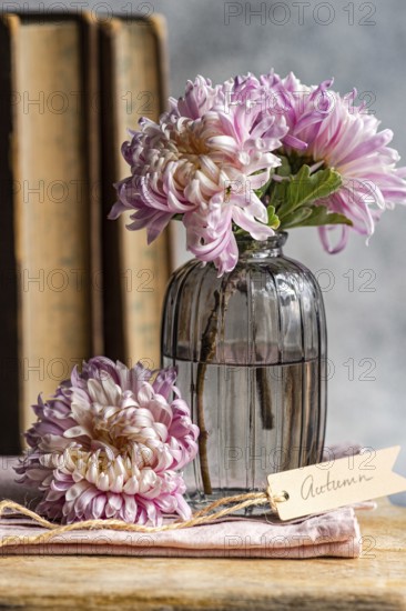 Soft pink chrysanthemums in a vintage glass vase beside rustic books and a tag reading Autumn Perfect for cozy, seasonal decor and nature-inspired themes