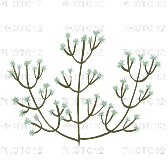 This illustration features a delicate floral theme with abstract green flowers branching out symmetrically The minimalist style adds an elegant touch to any design project