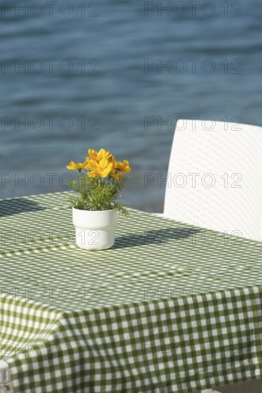 Minimalist pot of yellow flowers on green chequered restaurant table cloth beside deep blue sea, holiday dining beside the Mediterranean and Aegean Sea in Turkey or Greece