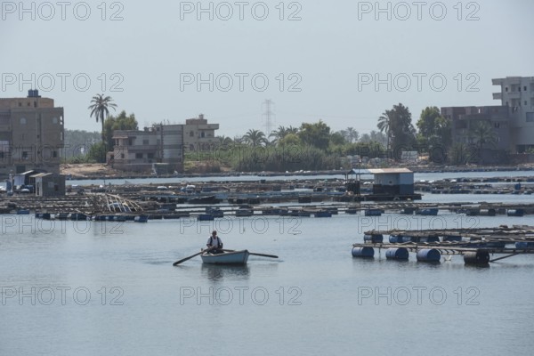 Rosetta, Egypt. June 27th 2024 An Egyptian boatman rows across the River Nile past fish farms in the Nile Delta city of Rashid or Rosetta, Egypt