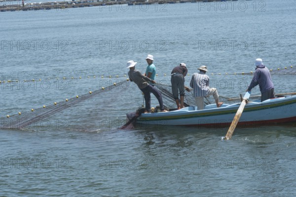 Rosetta, Egypt. June 27th 2024 Egyptian fishermen hauling their nets from the River Nile in th city of Rashid or Rosetta in the Nile Delta region of Northern Egypt