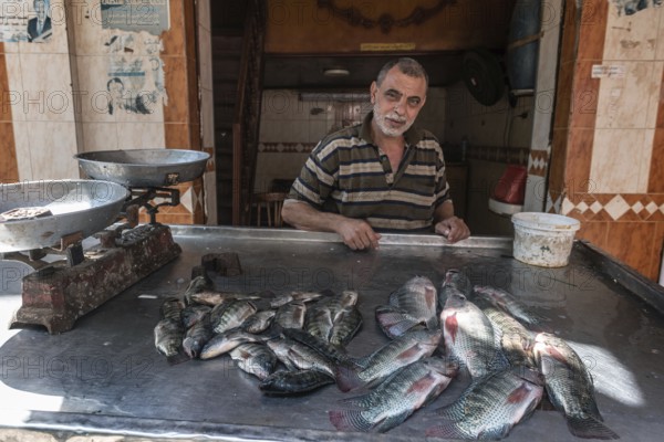 Rosetta, Egypt. June 27th 2024 An Egyptian man selling fresh fish caught in the River Nile in the Souk of Rosetta in the Nile Delta, Egypt