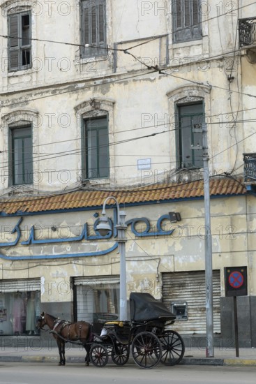 Alexandria, Egypt. December 2nd 2022 Traditional horse and carriage outside an old sea front building, Saad Zagloul Square, the Corniche, Alexandria, Egypt