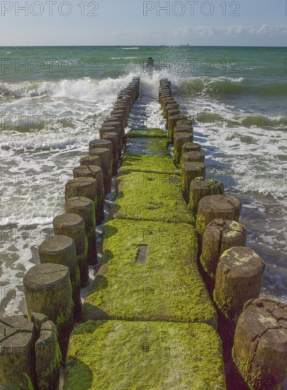 Groves, coastal protection structure, beach, Ahrenshoop, Baltic Sea, Vorpommern-Rügen district in Mecklenburg-Western Pomerania, Germany