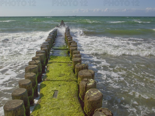 Groves, coastal protection structure, beach, Ahrenshoop, Baltic Sea, Vorpommern-Rügen district in Mecklenburg-Western Pomerania, Germany