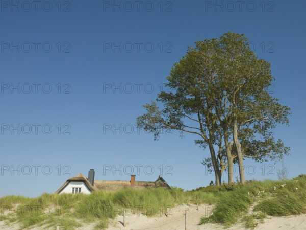 Coastal scene, with a thatched building, Ahrenshoop, Baltic Sea, Vorpommern-Rügen district in Mecklenburg-Western Pomerania, Germany