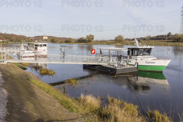 Klarisse electric ferry on the Elbe at Niederlommatzsch ferry terminal, Neuhirschstein Castle in the background, Saxon Elbland, Saxony, Germany