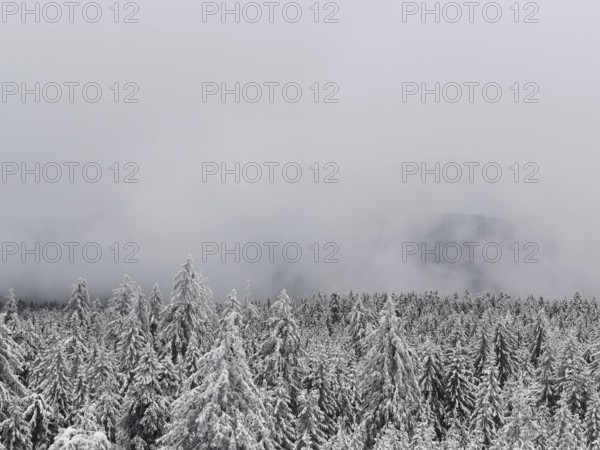 Snowy winter forest under thick fog, conveys a quiet and cold atmosphere, hiking in the Fichtelgebirge nature park Park