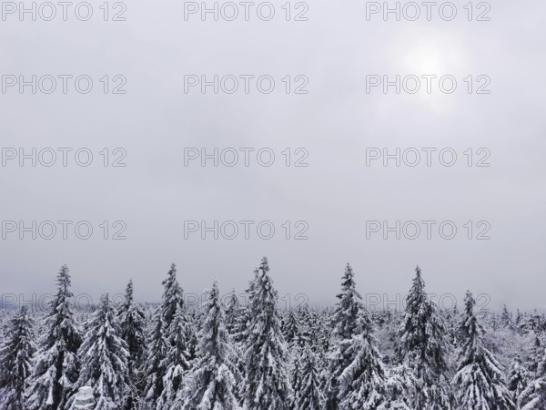 The snow covers treetops while weak light breaks through a wintry sky, hiking on Ochsenkopf in the Fichtelgebirge nature park Park