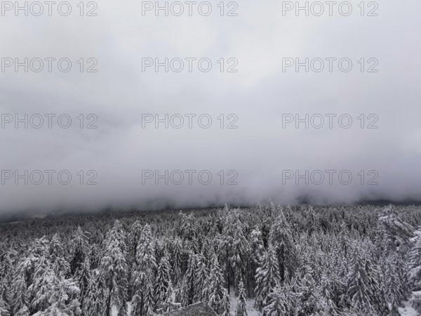 Thick fog surrounds a snow-covered forest landscape, hiking on Ochsenkopf in the Fichtelgebirge nature park Park