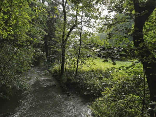 A quiet river flows through a wooded area in the Steinachklamm, where light and shadow create a quiet scene, hiking in the Frankenwald nature park Park