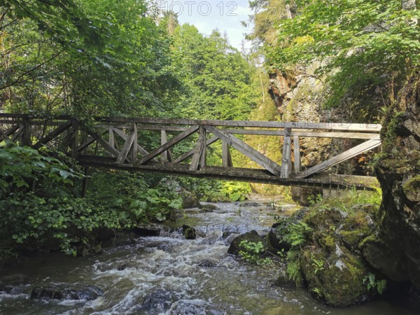 A wooden bridge stretches across a wild river, surrounded by rocks and dense forest at the Steinachklamm gorge, hiking in the Frankenwald nature park Park