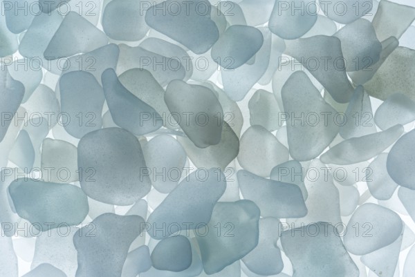 White broken glass, sea glass, sea glass, sea glass, from the North Sea