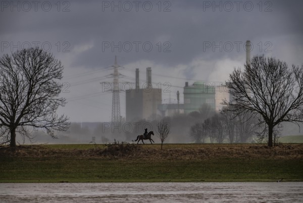 Riders on the banks of the Rhine opposite Krefeld-Uerdingen, in winter, the Krupp-Mannesmann metallurgical plant, HKM in Duisburg-Hüttenheim, coking plant, gas power plant, cooling towers, Rheinauen in Duisburg-Mündelheim, North Rhine-Westphalia, Germany