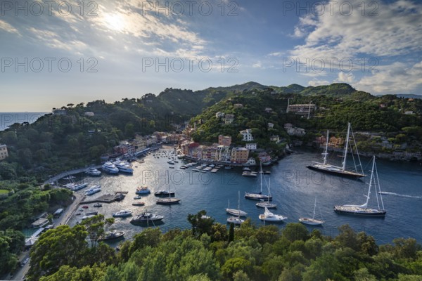 Boats in Portofino Harbour, Portofino, Liguria, Italy