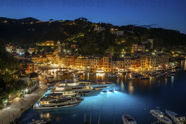 Boats in Portofino Harbour, Evening, Portofino, Liguria, Italy