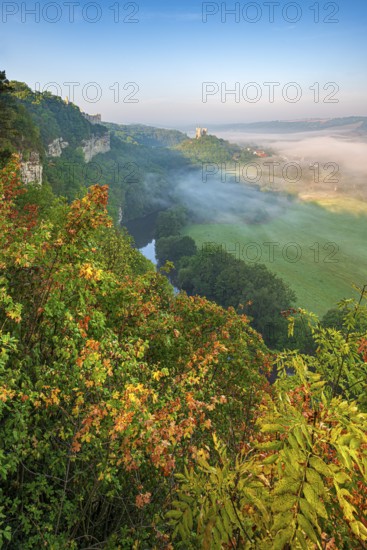 View of the ruins of Saaleck and Rudelsburg castles and the river Saale in autumn morning fog in the Saale Valley, Bad Kösen, Burgenlandkreis, Saxony-Anhalt, Germany