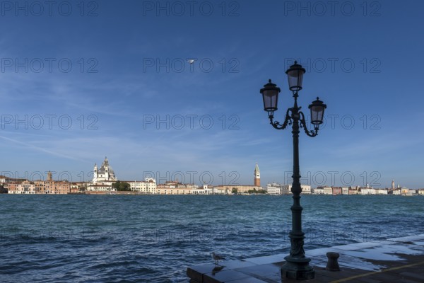 View of Santa Maria della Salute and the Campanile in Venice from Guidecca Island, Venice, Veneto, Italy