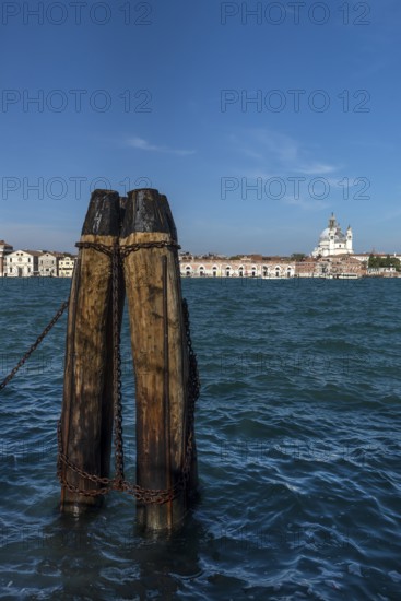 View of Santa Maria della Salute and the Campanile in Venice from Giudecca Island, Venice, Veneto, Italy