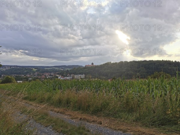 View of Rosenberg Fortress in Kronach with a corn field in the foreground under a cloudy sky, Frankenwald nature park Park