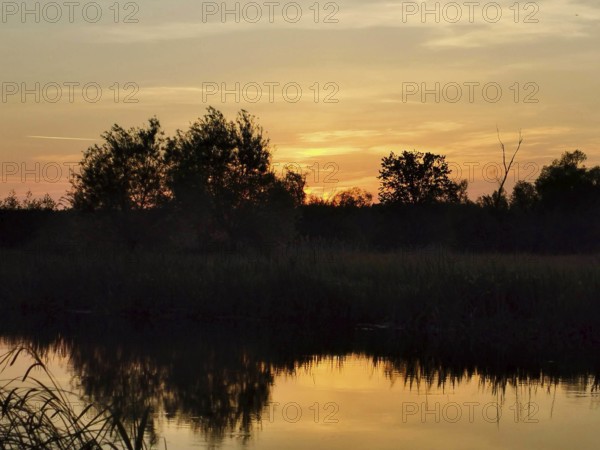 The quiet Spree at sunset with reflections of vegetation and shimmering colors in the sky, Brandenburg