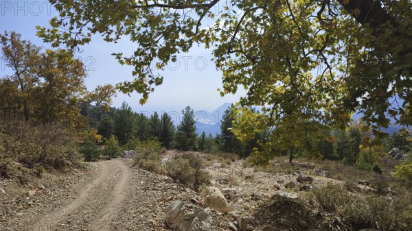 Rocky trail through a wooded landscape with views of mountains and the Tahtali, hiking on the Lycian Trail, Antlya, Turkey