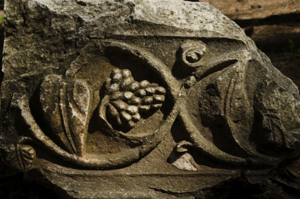 Detail of stone carved Greek Roman vine leaf at the ruins of Phaselis near Kemer, Antalya, Turkey