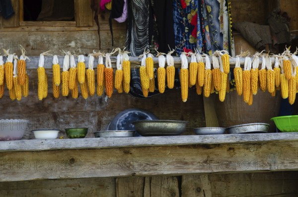 Trabzon, Turkey. 6th September 2014 Sweet corn hanging on the balcony of a traditional Black Sea village home in Turkey