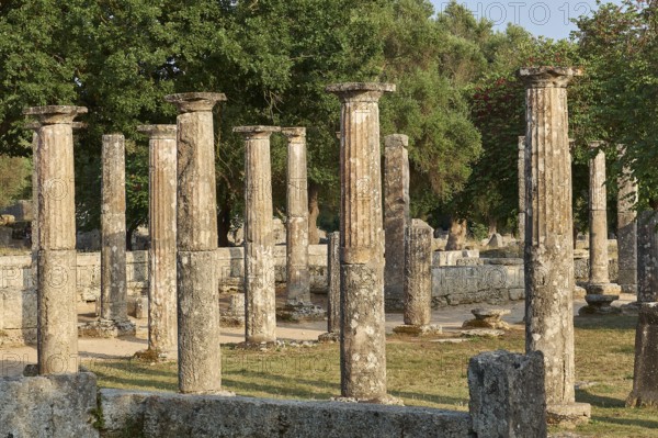 Palestra, collection of ancient columns surrounded by trees, archaeological site, Ancient Olympia, Olympia, Peloponnese, Greece