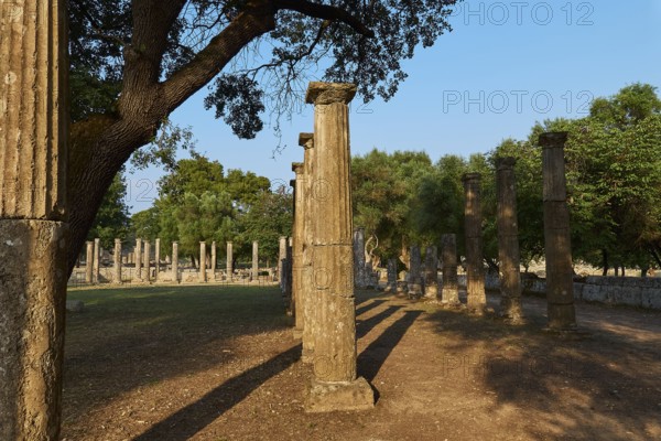 Palestra, Several ancient columns surrounded by trees and shade, Archaeological Site, Ancient Olympia, Olympia, Peloponnese, Greece
