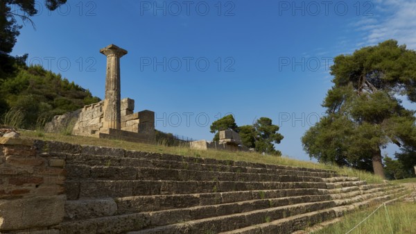 Temple of Hera, Temple of Hera, Heraion, ruins with a standing column and stairs surrounded by trees, Archaeological Site, Ancient Olympia, Olympia, Peloponnese, Greece