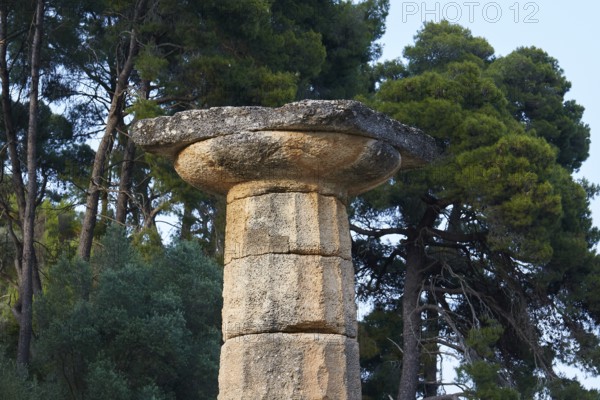 Temple of Hera, Temple of Hera, Heraion, close-up of an ancient capital with green background and trees, Archaeological Site, Ancient Olympia, Olympia, Peloponnese, Greece