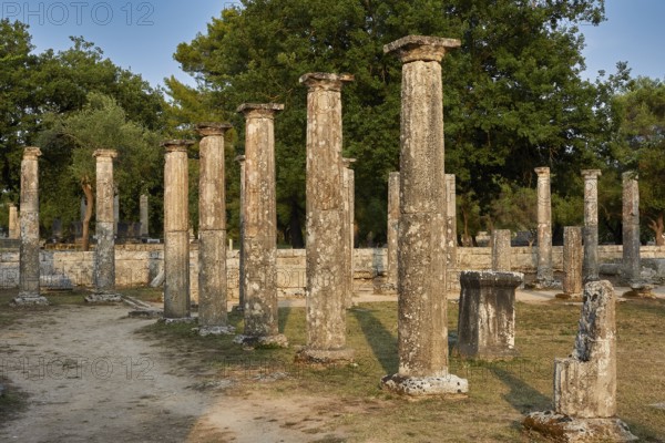Palestra, row of ancient columns in the open air against a background of trees, Archaeological Site, Ancient Olympia, Olympia, Peloponnese, Greece