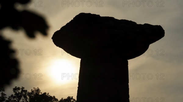Temple of Hera, Temple of Hera, Heraion, pillar silhouette at sunset with trees in the foreground, Archaeological Site, Ancient Olympia, Olympia, Peloponnese, Greece