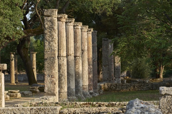 Palestra, set of ancient columns in a wooded area, Archaeological Site, Ancient Olympia, Olympia, Peloponnese, Greece