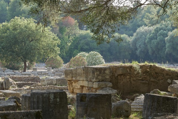 Buleuterion, Ancient stone ruins in a green, wooded area, Archaeological Site, Ancient Olympia, Olympia, Peloponnese, Greece