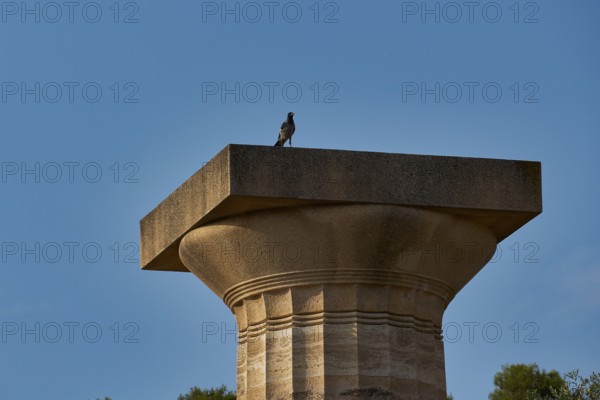 Temple of Zeus, A single column with a bird under a blue sky, Archaeological Site, Ancient Olympia, Olympia, Peloponnese, Greece