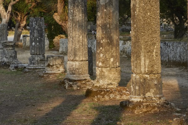 Palestra, Ancient stone columns in a landscape of ruins surrounded by trees in soft sunlight, Archaeological Site, Ancient Olympia, Olympia, Peloponnese, Greece