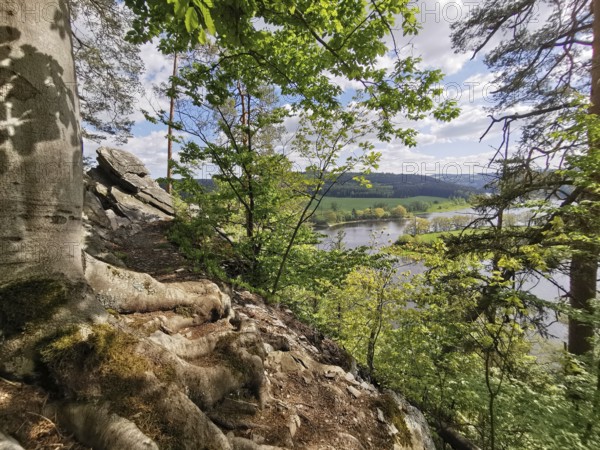 Breathtaking viewpoint over the Saale river landscape, with distinctive roots and rocks, hiking in the Thuringian Forest nature park Park