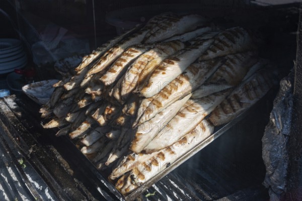 Delicious looking grilled mackerel an ready to prepare Balik Ekmek, a traditional Turkish street food translating as fish and bread, Karakoy Fish Market, Istanbul, Turkey