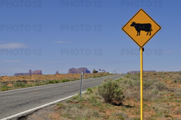 Cow warning sign next to a winding road through the desert near Monument Valley, Navajo Tribal Park, Navajo Nation Reservation, Utah, Arizona, USA