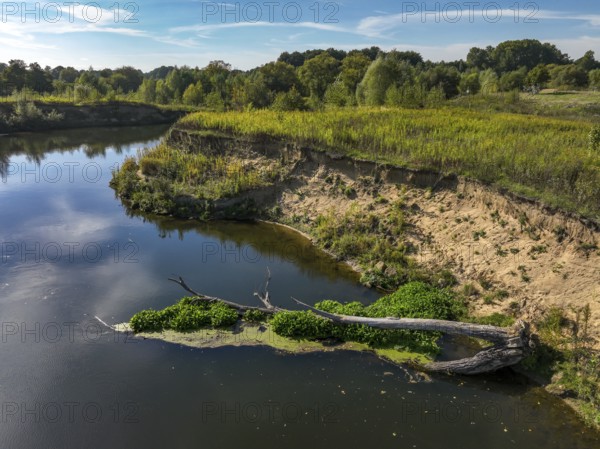 Datteln, North Rhine-Westphalia, Germany - Lippe, river and floodplain development of the Lippe near Haus Vogelsang, a near-natural river landscape was created here, an intact river-floodplain ecosystem restored with flood protection through redesigned flooded areas. The new Lippe loop has created an extensive floodplain landscape that provides valuable habitat for animal and plant species. Deadwood inserted at the front