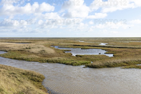 Wetland habitat of Boyton and Hollesley Marshes Nature Reserve, River Ore and Orford Ness shingle spit, Suffolk, England, UK