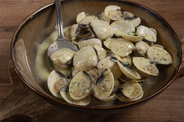 Vongole clams, in cream sauce, homemade, top view, no people