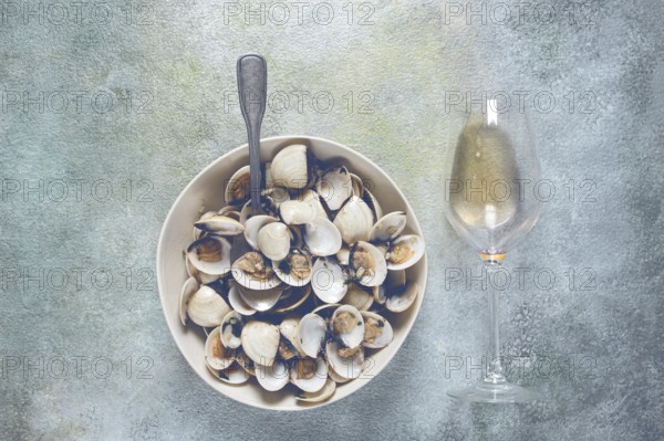 Vongole clams, with spices and white wine, top view, no people