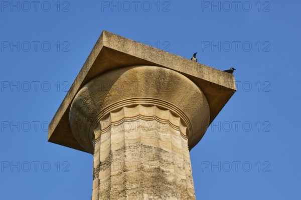 Temple of Zeus, ancient column with two birds on top against a blue sky, archaeological site, Ancient Olympia, Olympia, Peloponnese, Greece