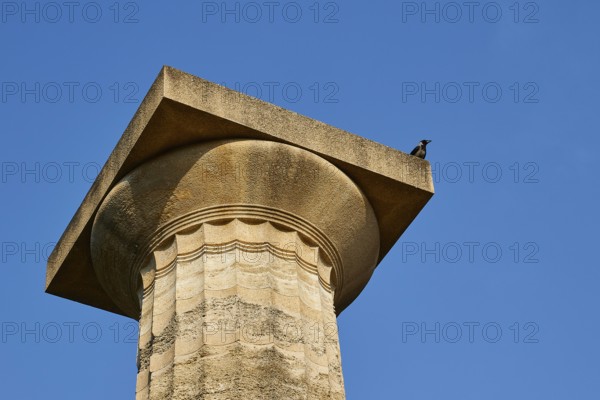 Temple of Zeus, ancient column with a bird on top under clear blue sky, archaeological site, Ancient Olympia, Olympia, Peloponnese, Greece