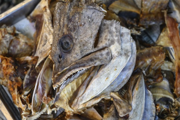 Dried fish heads for sale inside the Maeklong Railway market, one of the largest food and seafood markets in Thailand, Asia