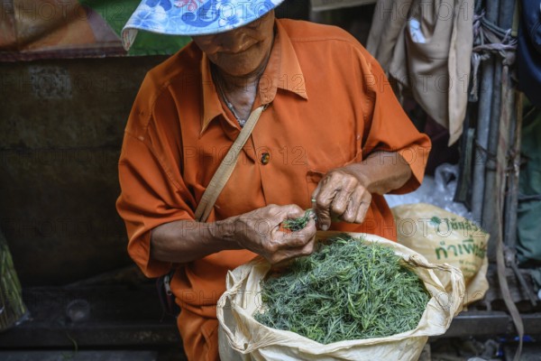 Mae Klong, Thailand. March 15th 2025. An elderly Thai woman sorts through a bag of herbs at the Maeklong Railway market, one of the largest food and seafood markets in Thailand